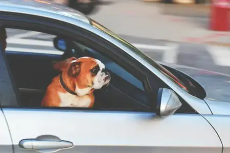 **Blerja online e vinjetës për autostradë sllovene**